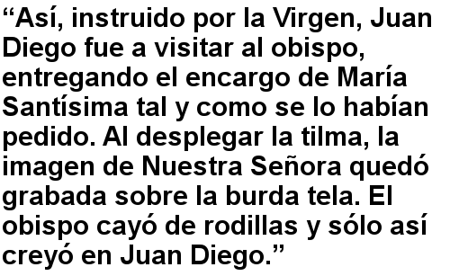 “Así, instruido por la Virgen, Juan Diego fue a visitar al obispo, entregando el encargo de María Santísima tal y como se lo habían pedido. Al desplegar la tilma, la imagen de Nuestra Señora quedó grabada sobre la burda tela. El obispo cayó de rodillas y sólo así creyó en Juan Diego.”